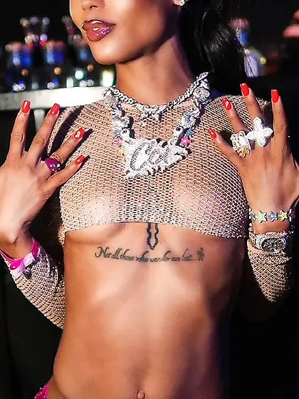 Le paradis noir, the black paradise87