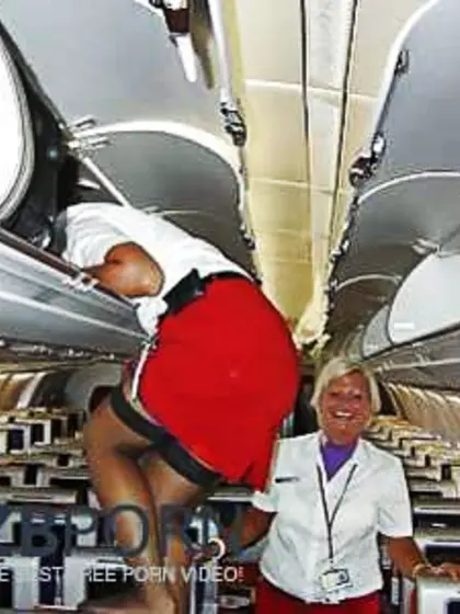 Flight attendant - hotesse de l air