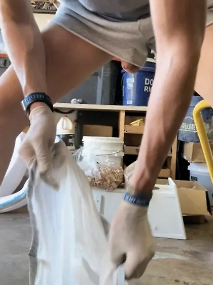 fagbait - alpha cocks luring faggots to destiny