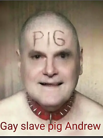 gay slave pig Andrew blowjob public toilet whore