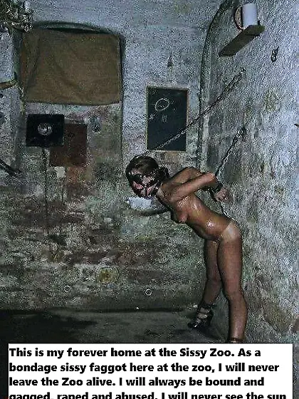 the desired bdsm world of me sissystephanie