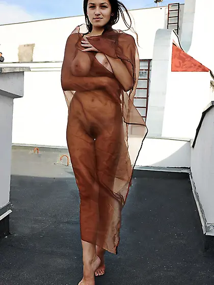 Astand by Goncharov.  Featuring: Sofi A.  MetArt.  Gallery 1. 03. 03.