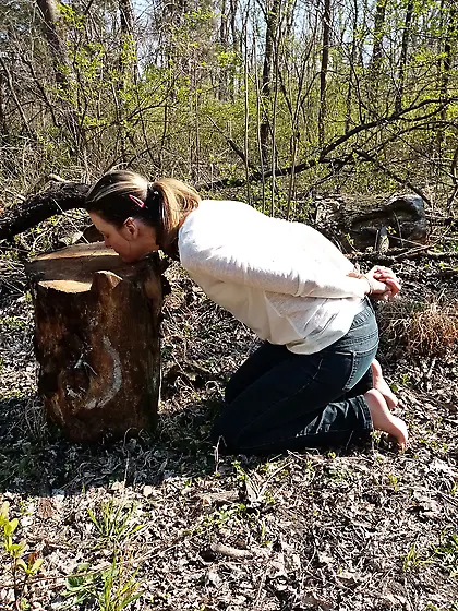 Execution in the forest