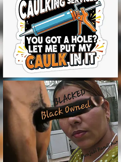 Indian punjabi aunty the dumb whore