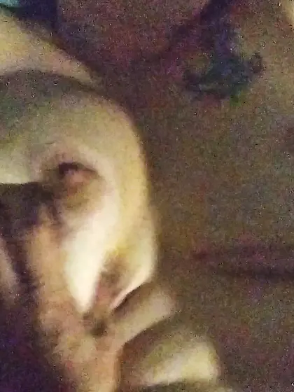 Me and my sexy big tited girlfriend