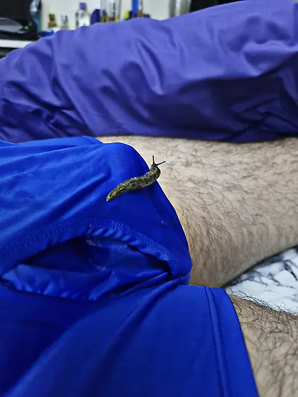 Slug pleasures my cock inside and out