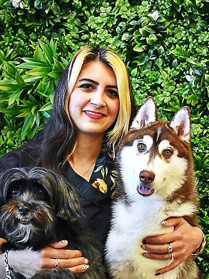 Dutch CyntKr Reddit Xavier van Heerden