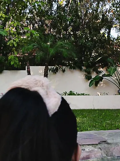 Gorgeous workout rugby players