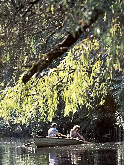 Slutty shaved seventies lady