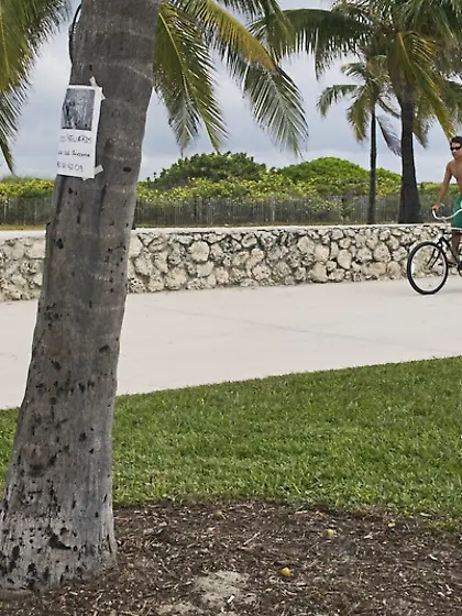 Friends fun playing evans