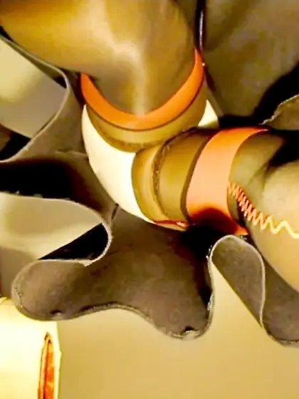 BlueGirl70 pics 080825