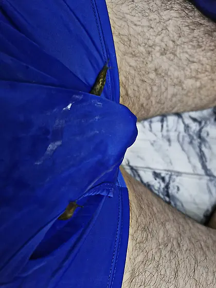 Slug pleasures my cock inside and out