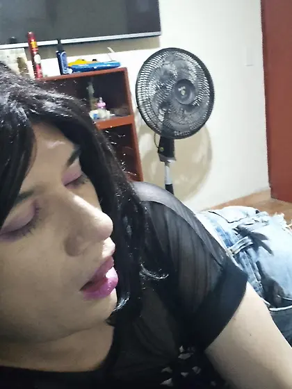 Sissy en busca de adopción