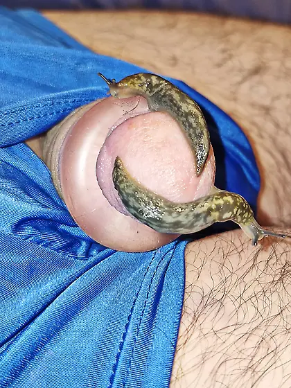 Slug pleasures my cock inside and out