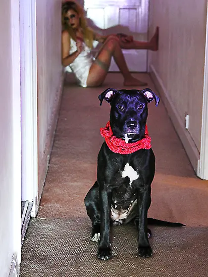 Nasty slut fucked cumshot