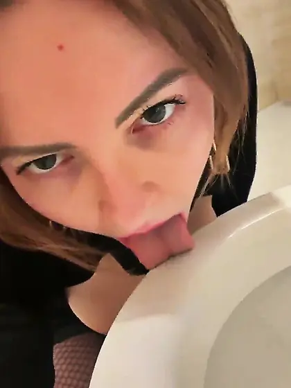 Little toilet Piglets