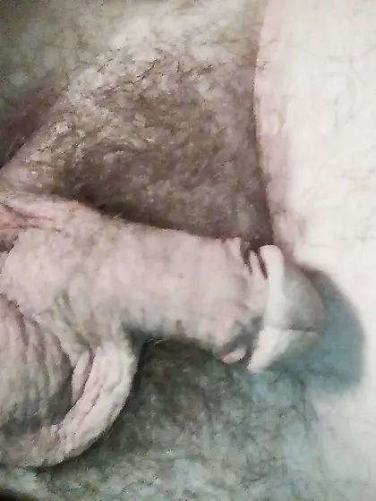 Cuck Paul For Sharing And Reposting