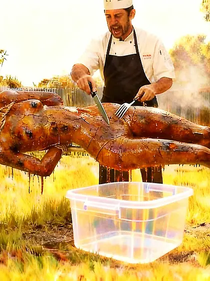 Marinated spit photos