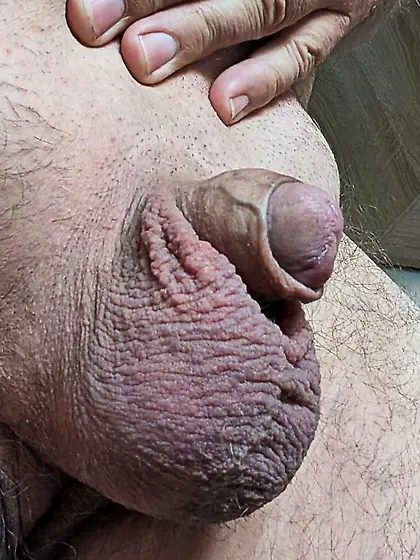 very tiny Cock with balls for torture