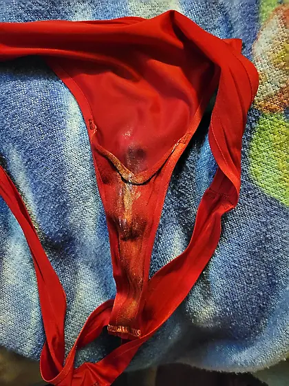 Wife’s dirty panties