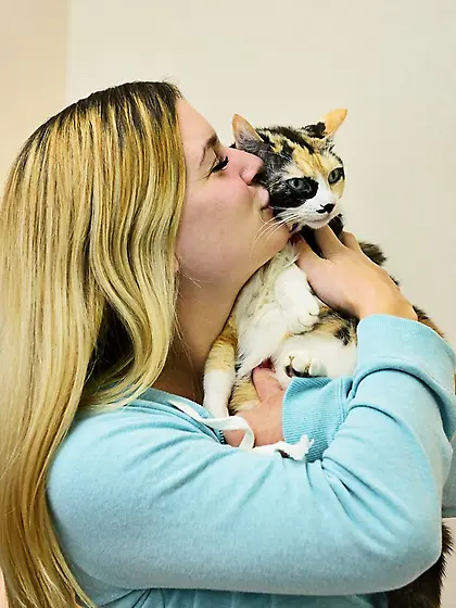 Girl perfect natural boobs