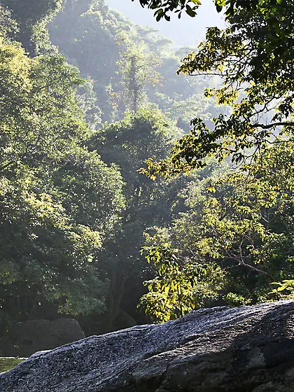 Hot brunette chick Katie Fey strips for the camera and shows us