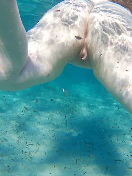 Underwater Outdoor Sex in Public - Naughty at Beach & Ocean