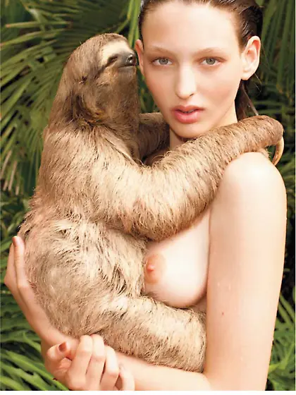 Celebrities Collection 4