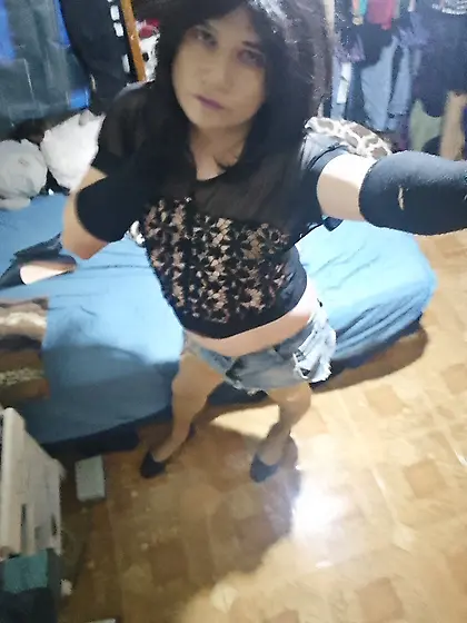 Sissy en busca de adopción