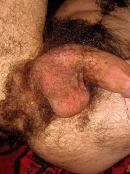 Fat hairy abvsive maledom