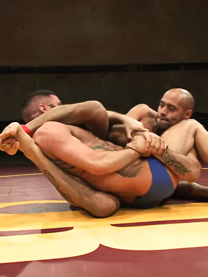 Gay frolicking ass banging