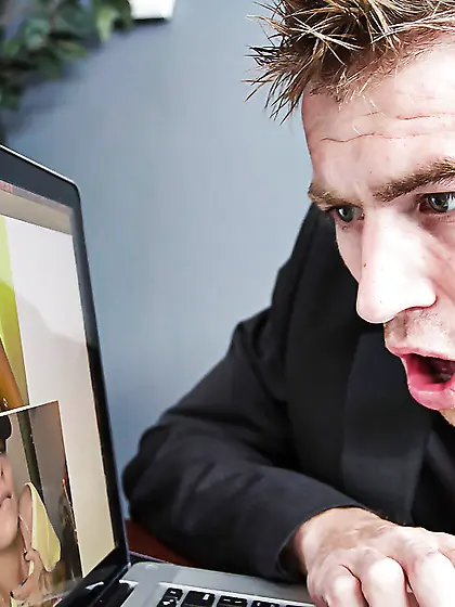 American cute swallow