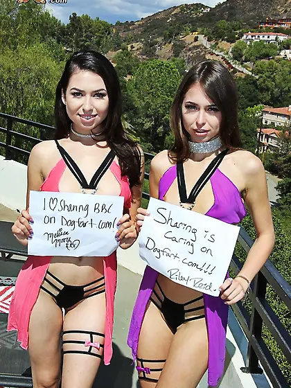 Dark haired interracial groupsex