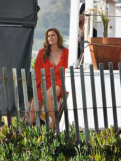 Amy Adams Sexy Photos