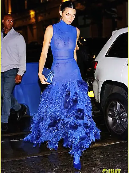 Kendall Jenner in a sheer blue dress