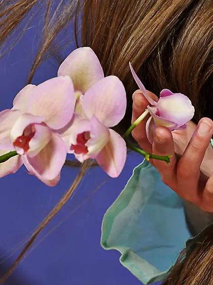 MetArt sample gallery featuring: Kristel A