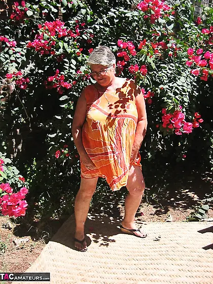 First-class elderly short haired