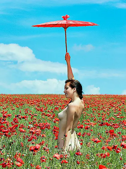 Naked brunette teen Diana H is gathering the bright poppies in t