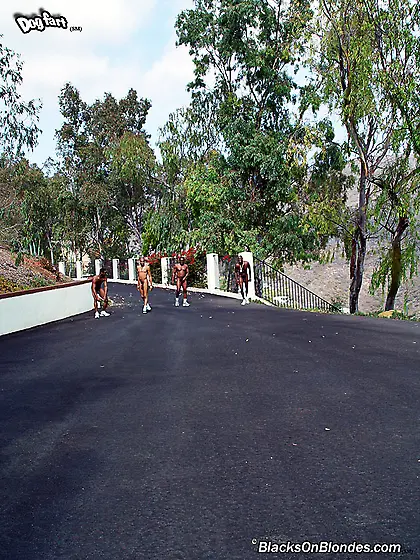 American blonde facial gangbang