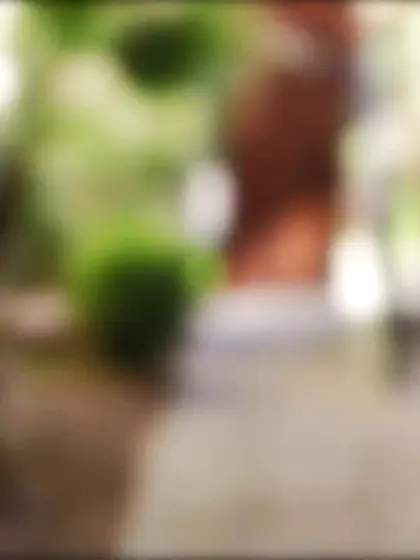 Young lovers forget sexual