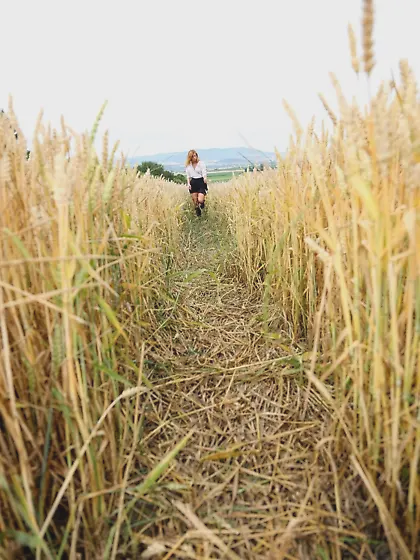 During walk through field of wheat young redhead takes a break t