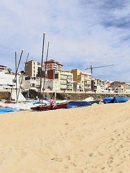 Hairy big tit latina teen