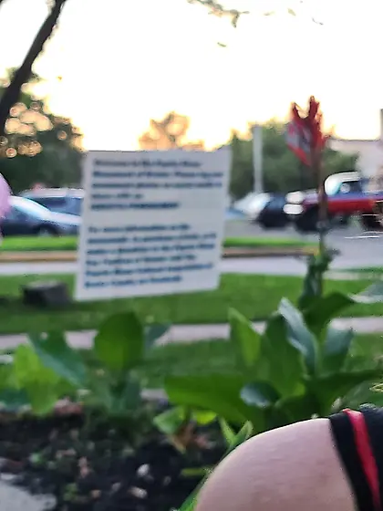 No animals were hurt in production.