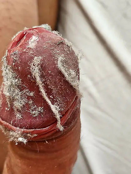 Cock plays with dust