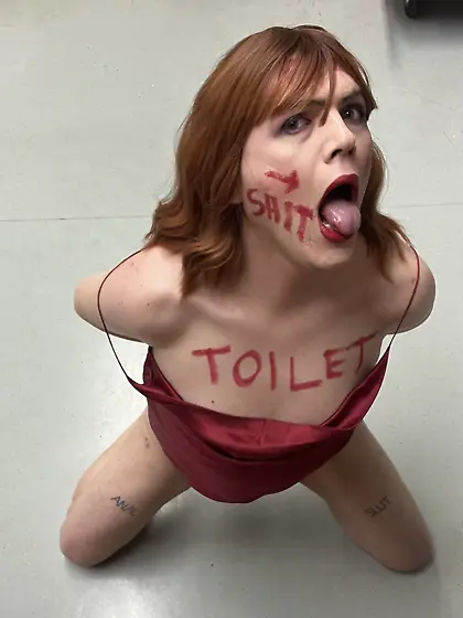 Sissy toilet Dolly