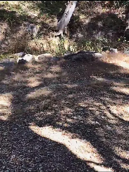 Virginia Subslut Fucks Stranger in Public