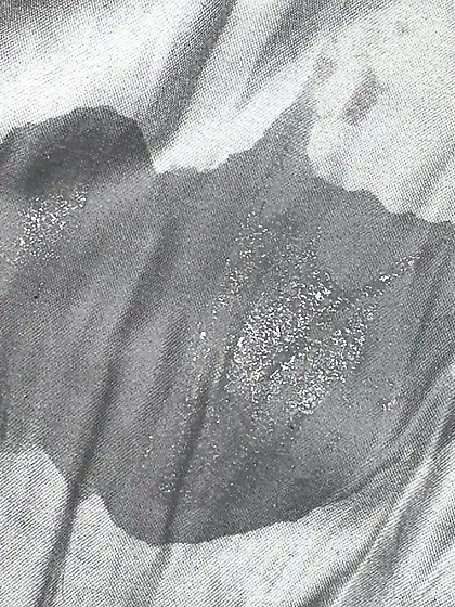 Skyline Blonde Phone Hack