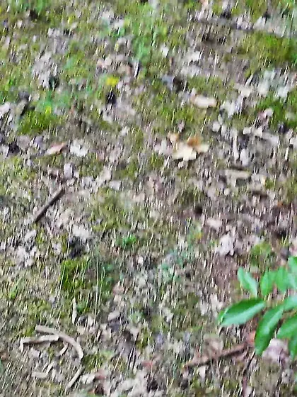 Milf gets fucked rough outdoor