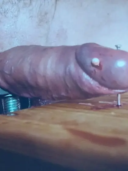 Nail thru Cockhead into the Wood below!