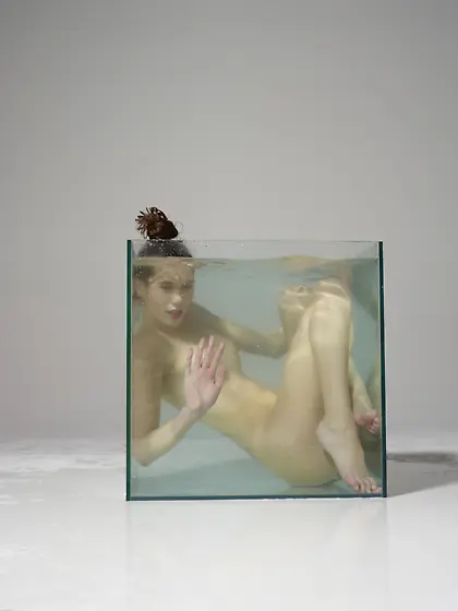 Heagre art underwater aquarium